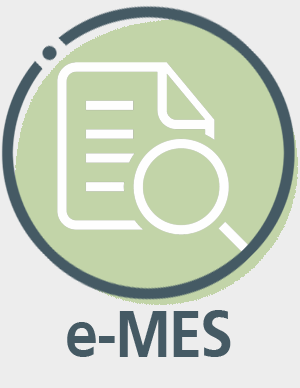 e-MES